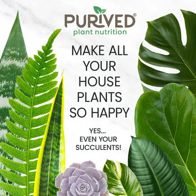 Mirisse™ 16oz Houseplant Food
