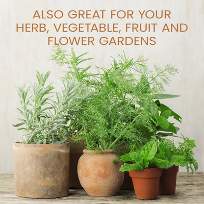 Mirisse™ 16oz Houseplant Food